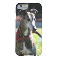 Greyhound dog iPhone 6 case