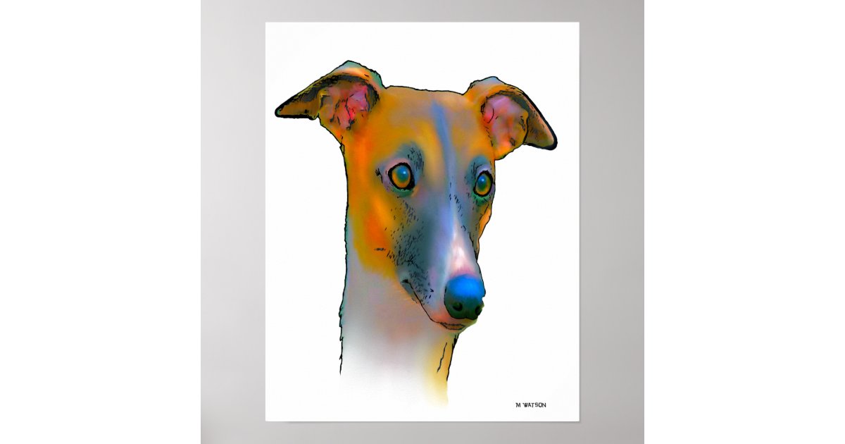 Greyhound Dog Poster Zazzle