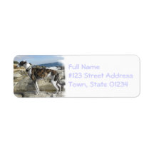 Greyhound Dog Return Address Label