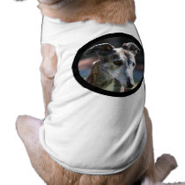 Greyhound dog shirt pet clothing