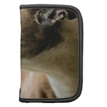 Greyhound Dog Wallet  Organizer