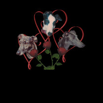 Greyhound Faces Red Hearts Roses Shirt
