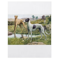 Greyhound Full Color Flyer