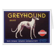 Greyhound Fruit Crate Label Cards