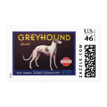 Greyhound Fruit Crate Label Stamps