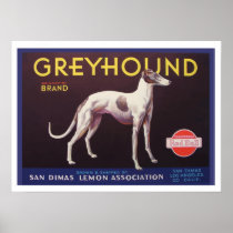 Greyhound Fruit Crate Label Posters