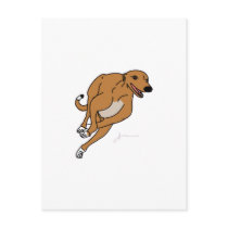 Greyhound Gear Postcard