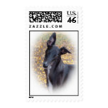 Greyhound Head Stamp