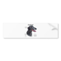Greyhound History Design Bumper Stickers