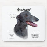 Greyhound History Design Greyhound History Design