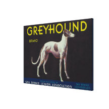 Greyhound Lemon LabelSan Dimas, CA Gallery Wrap Canvas