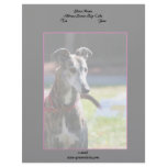 Greyhound letterhead
