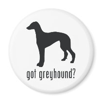 Greyhound Magnets