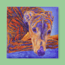 Greyhound Magnet - "Ace" magnets