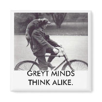 Greyhound & man on bike, GREYT MINDS THINK ALIKE magnets by PURPLEGREYHOUND Greyhound & man on bike, GREYT MINDS THINK ALIKE magnets