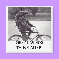 Greyhound & man on bike, GREYT MINDS THINK ALIKE magnets