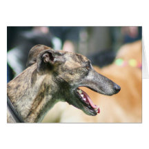 Greyhound Notecard