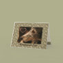 Greyhound Paisley