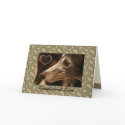 Greyhound Paisley cards