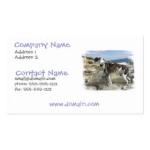 Greyhound Photo Business Card