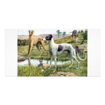 Greyhound Photo Card Template