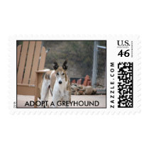 Greyhound Postage postage