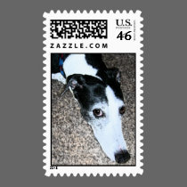 Greyhound Postage postage