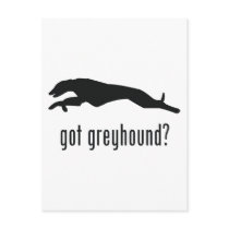 Greyhound Post Card