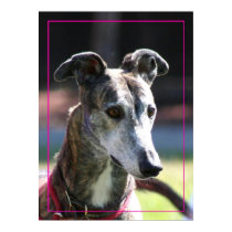 Greyhound poster posters by ritmoboxer Greyhound poster posters