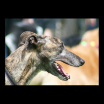 Greyhound poster posters