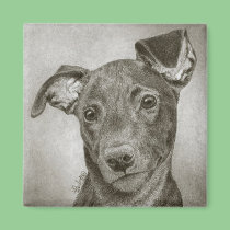 Greyhound Pup Magnet - "Waffle" magnets
