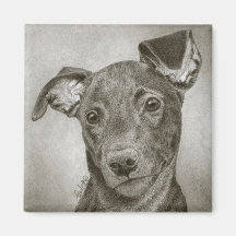 Greyhound Pup Magnet - "Waffle"