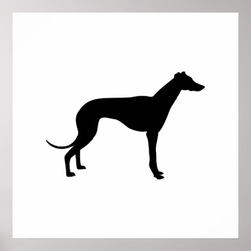 Greyhound Silhouette Poster | Zazzle