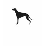 Greyhound Silhouette Tshirt