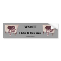Greyhound Sleeping In Chair Funny Bumper Sticker bumper stickers