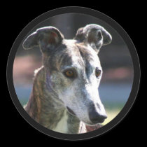Greyhound stickers stickers