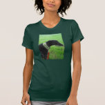 GREYHOUND t-shirts