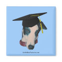 Greyhound The Graduate Dog Photo Funny Magnet