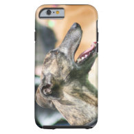Greyhound Tough iPhone 6 case