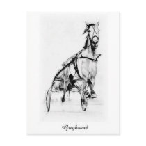 Greyhound Trotter Postcard