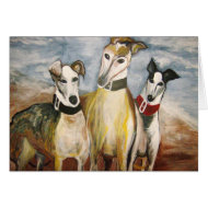Greyhounds card