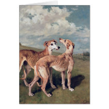 Greyhounds Cards