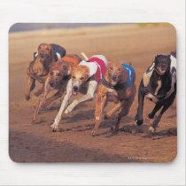 Greyhounds racing on track mouse pad