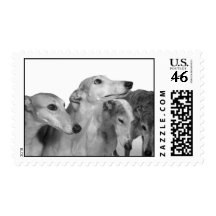 Greyhounds Stamp 5