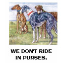 Greyhounds - We don't ride in purses t-shirts by PURPLEGREYHOUND Greyhounds - We don't ride in purses t-shirts