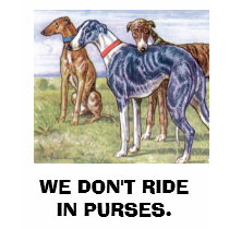Greyhounds - We don't ride in purses t-shirts