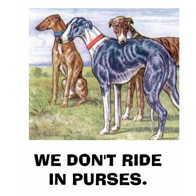 Greyhounds - We don't ride in purses Tee Shirt