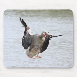 Greylag Goose mousepad