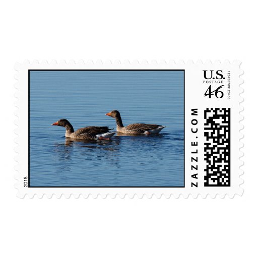 Greylag Goose Postage