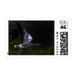 Greylag Postage